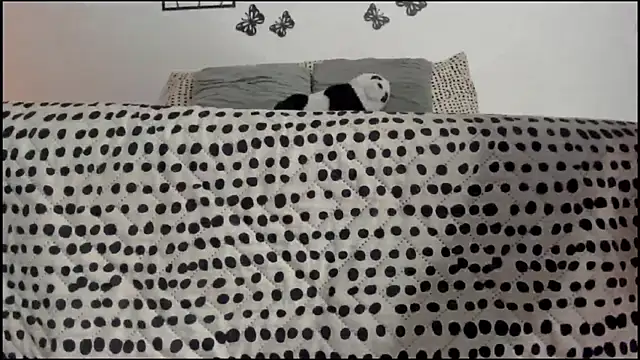 Keiny-Rave online show from 18, 3, 2025