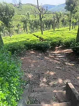 Hillz king 98 online show from 28, 2, 2025