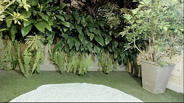 loladupont online show from 10, 9, 2025