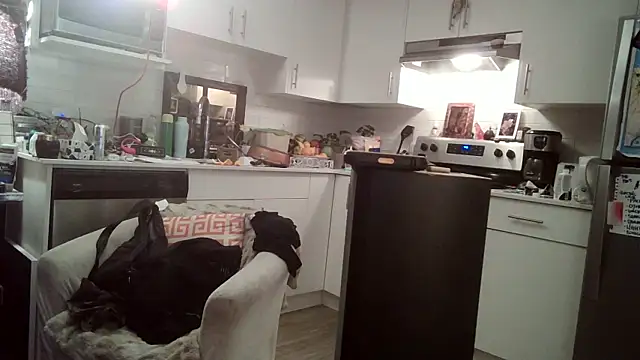 Snapshot of SilverandFox chatting on 11, 3, 2025 SilverandFox online show from 11, 3, 2025