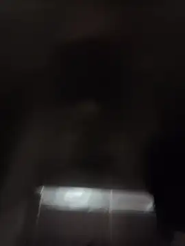 codysmith online show from 30, 10, 2025