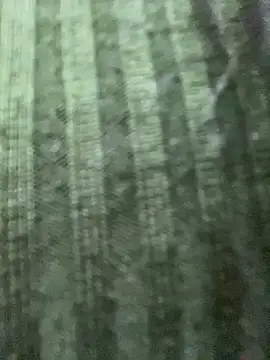 Rosita forever  online show from 24, 2, 2025