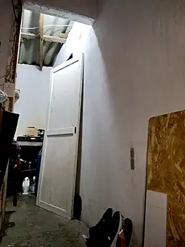 gatoalex89 online show from 19, 2, 2025