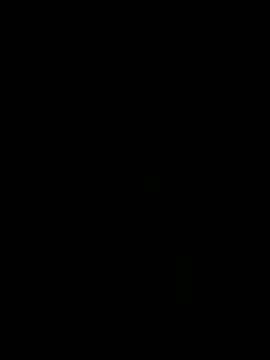 GildanK18 online show from 15, 6, 2026