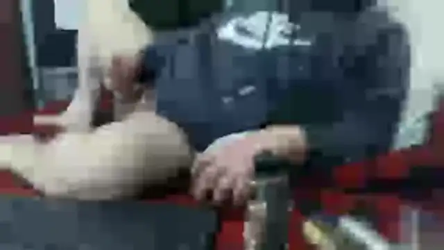 party51502 online show from 7, 2, 2026