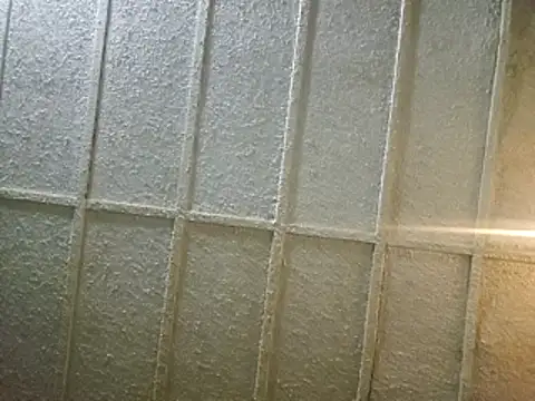 zaneporter46 online show from 8, 2, 2025