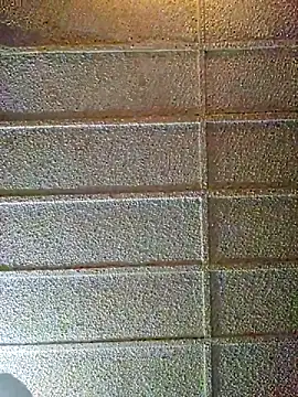 zaneporter46 online show from 10, 2, 2025