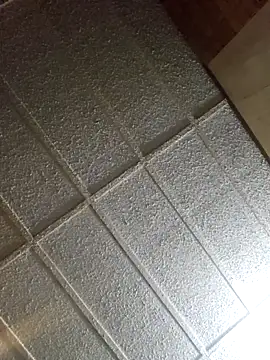 zaneporter46 online show from 16, 2, 2025