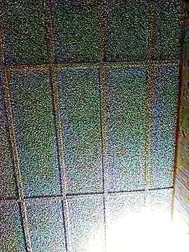 zaneporter46 online show from 1, 3, 2025