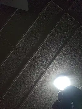 zaneporter46 online show from 19, 1, 2026