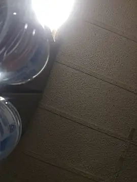 zaneporter46 online show from 16, 2, 2026