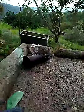 Snapshot of crazysex095 chatting on 2, 1, 2025 crazysex095 online show from 2, 1, 2025