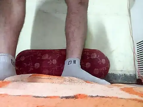 r379 online show from 1, 10, 2025