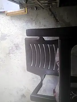 r379 online show from 14, 11, 2025