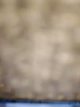 618fuckupp online show from 27, 10, 2025