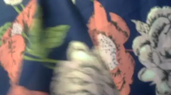 Naughty Nayra online show from 3, 2, 2025