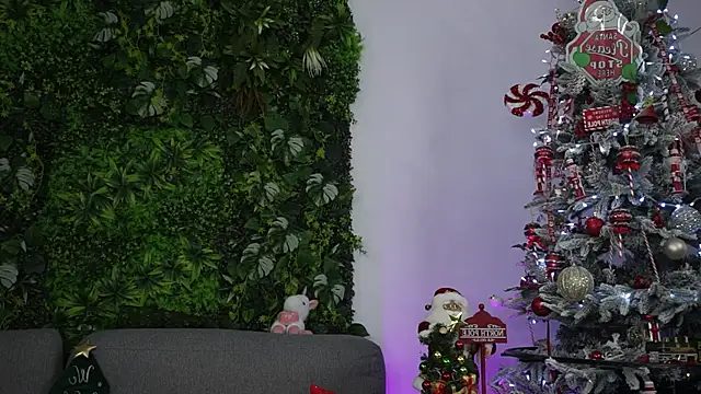 amiraroshen online show from 22, 12, 2025