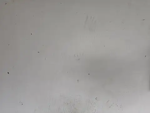 Snapshot of fs_carioca chatting on 2, 12, 2025 fs carioca online show from 2, 12, 2025