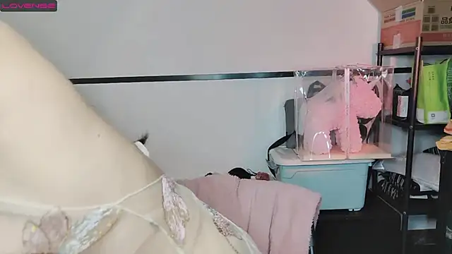 diandian-866 online show from 20, 2, 2025