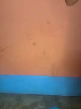 Snapshot of Lovely-Shivani chatting on 19, 3, 2025 Lovely-Shivani online show from 19, 3, 2025