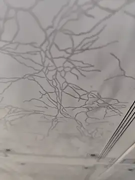 dreamers dick online show from 2, 1, 2025