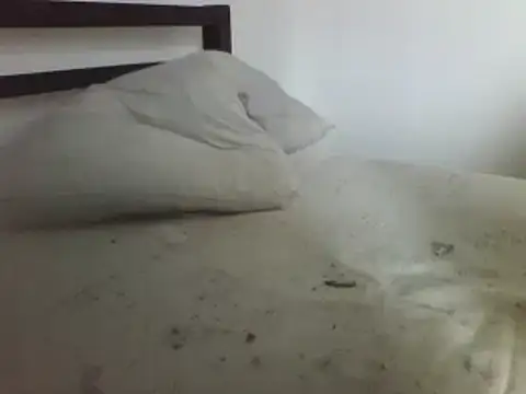 horndude187187 online show from 1, 1, 2025