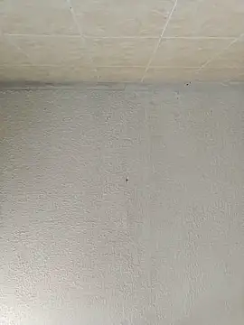 Snapshot of boobsTaylor chatting on 21, 9, 2025 boobsTaylor online show from 21, 9, 2025