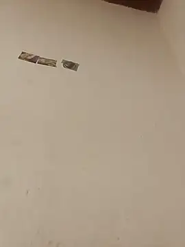 boobsTaylor online show from 3, 10, 2025