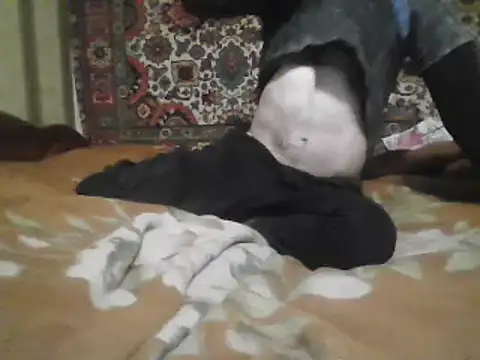 AlferezzSolvajo online show from 21, 3, 2025