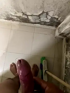 elflalope online show from 7, 11, 2025