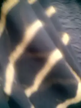 Amaya Bajwa online show from 15, 12, 2025