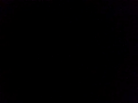 Lauren Amabel online show from 24, 11, 2025