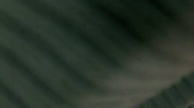 Snapshot of giselao chatting on 15, 1, 2025 giselao online show from 15, 1, 2025