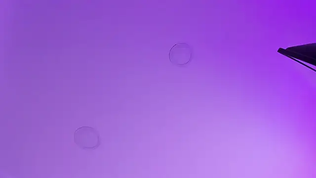 kathy bakerr online show from 18, 3, 2026