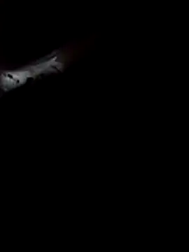 mario0212 online show from 11, 11, 2025