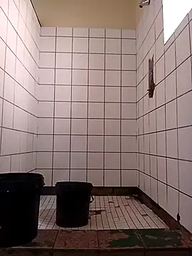 Dube501 online show from 17, 11, 2025