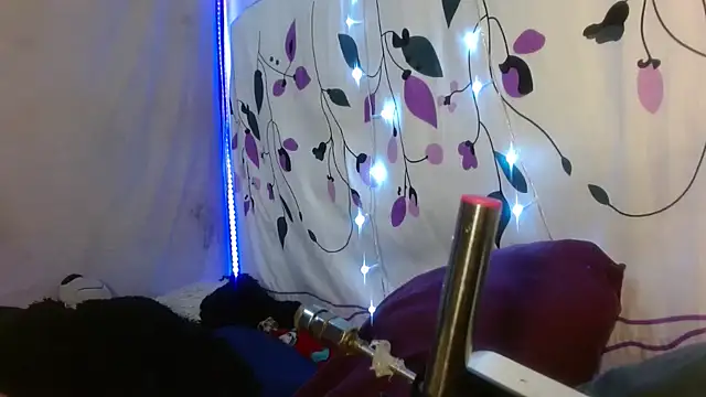 Snapshot of kattislut77 chatting on 7, 2, 2026 kattislut77 online show from 7, 2, 2026