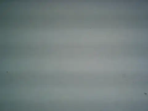 Snapshot of michel1520 chatting on 27, 6, 2026 michel1520 online show from 27, 6, 2026