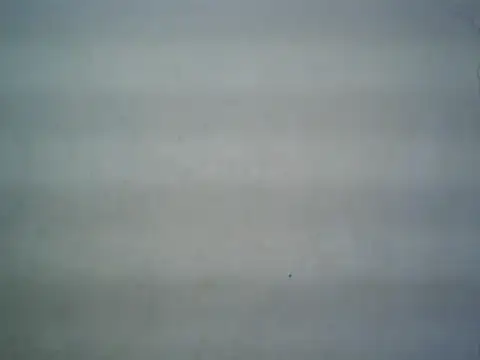 Snapshot of michel1520 chatting on 16, 7, 2026 michel1520 online show from 16, 7, 2026