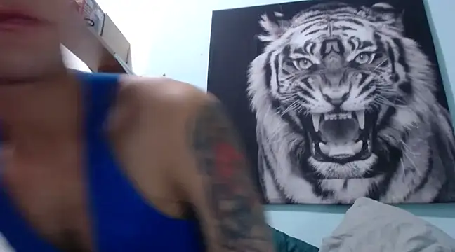 dany hardy online show from 4, 2, 2025