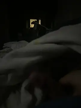 xnxpork online show from 21, 1, 2025