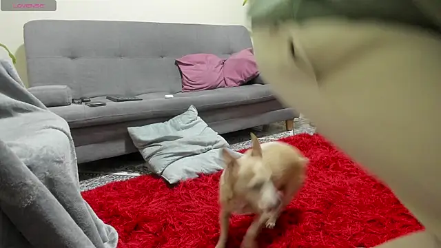 Snapshot of Salvatore_costa chatting on 19, 9, 2025 Salvatore costa online show from 19, 9, 2025