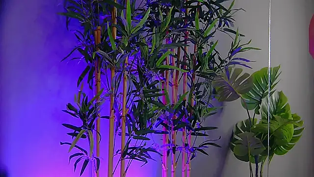 Snapshot of PatriciaSpice chatting on 9, 11, 2025 PatriciaSpice online show from 9, 11, 2025