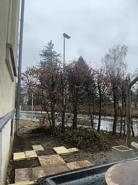 Ciara2004 online show from 11, 2, 2026