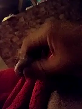 srecet online show from 1, 2, 2025