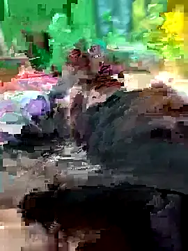 Raj41 online show from 14, 2, 2026