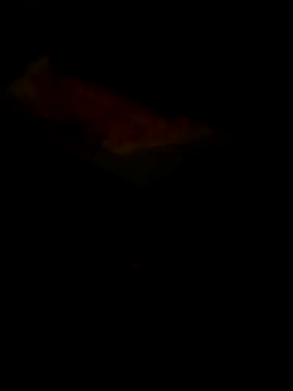 Raj41 online show from 30, 3, 2026