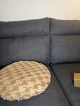 Lobna-alami online show from 11, 2, 2025