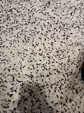 garibaldi1974 online show from 5, 12, 2025