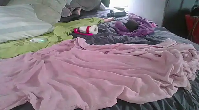 xylegs online show from 15, 3, 2025